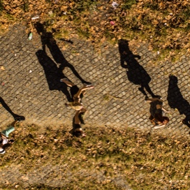 students walking on brick campus walkway shadows
